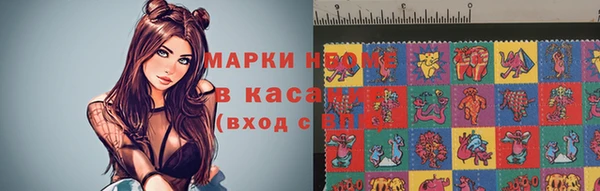 хмурый Верея