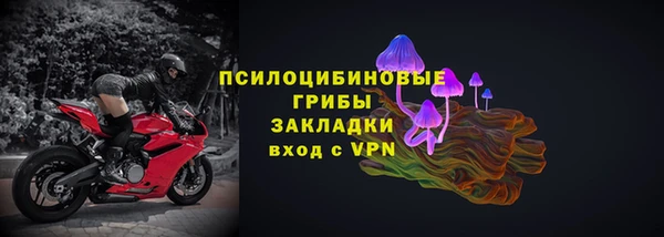 хмурый Верея
