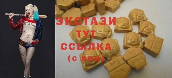 хмурый Верея