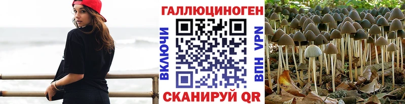 Галлюциногенные грибы Cubensis  наркошоп  Ялуторовск 